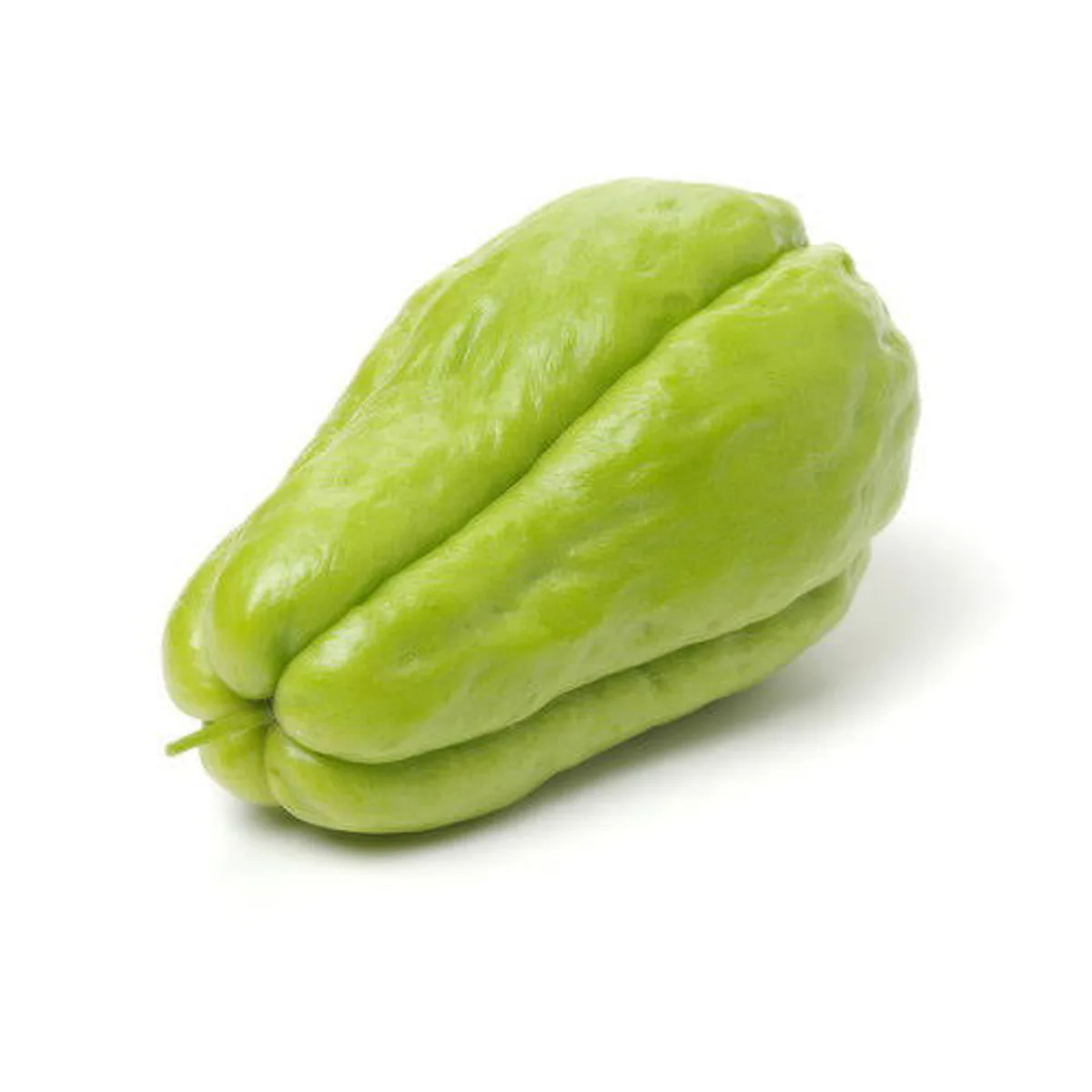 CHAYOTE | SQUASH