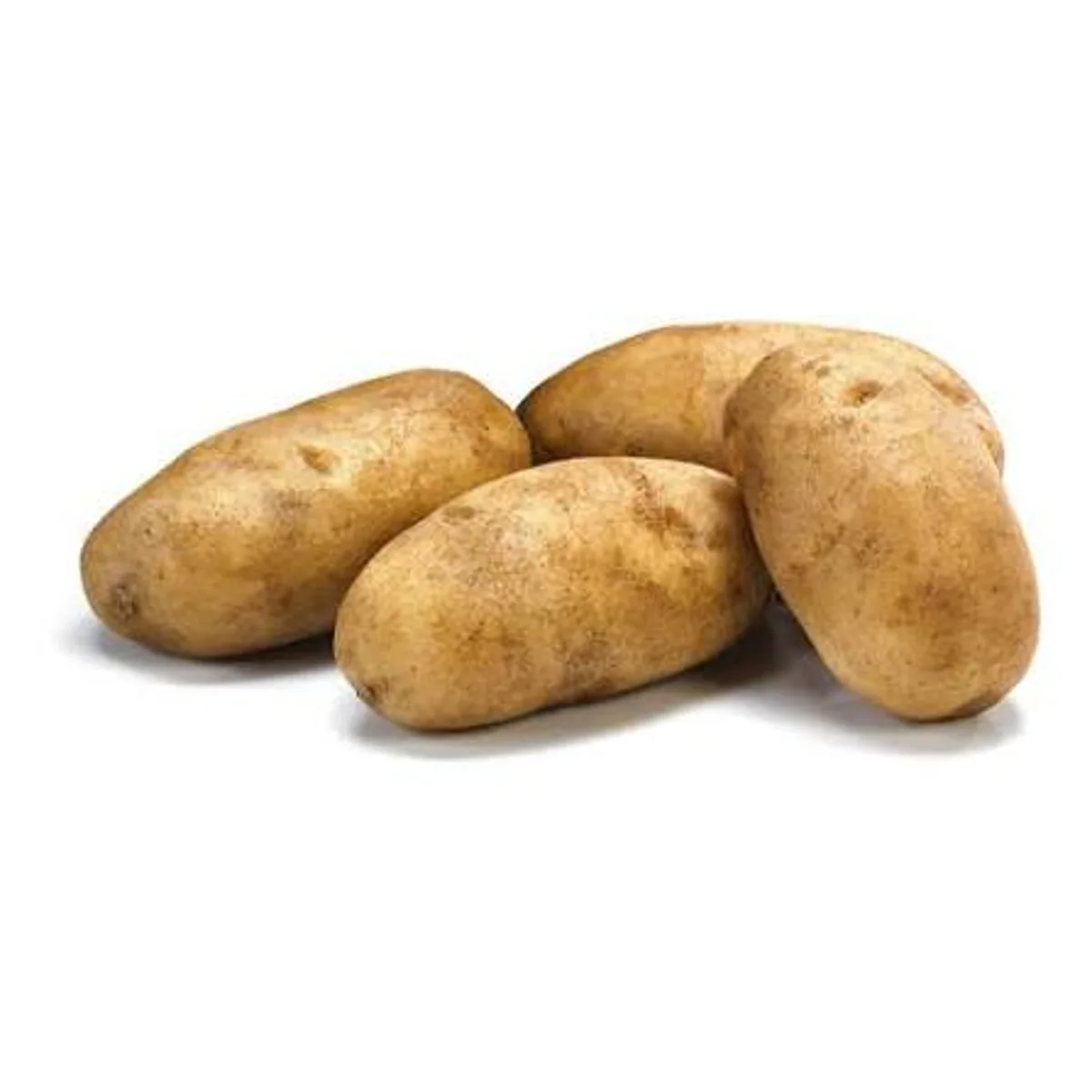 PAPA CAFE/RUSSET POTATO